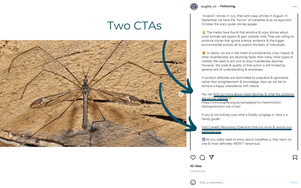 Instagram post with two calls to action