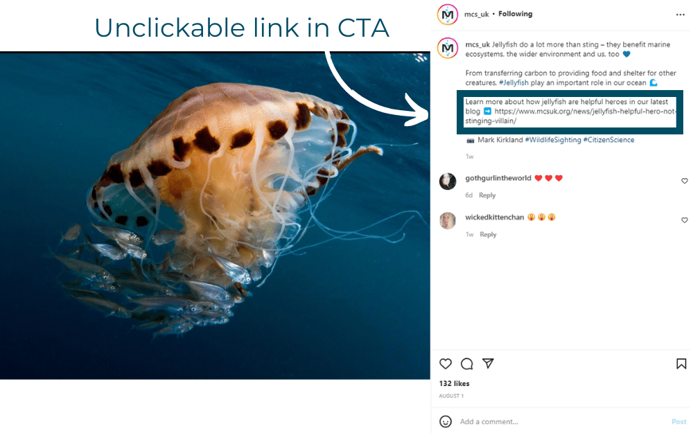Instagram post with URL in CTA