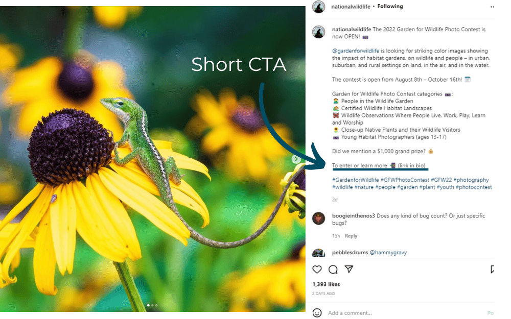 Short Instagram call to action