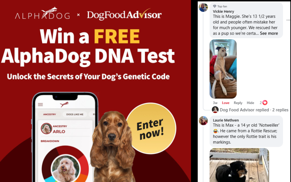 Alpha Dog giveaway