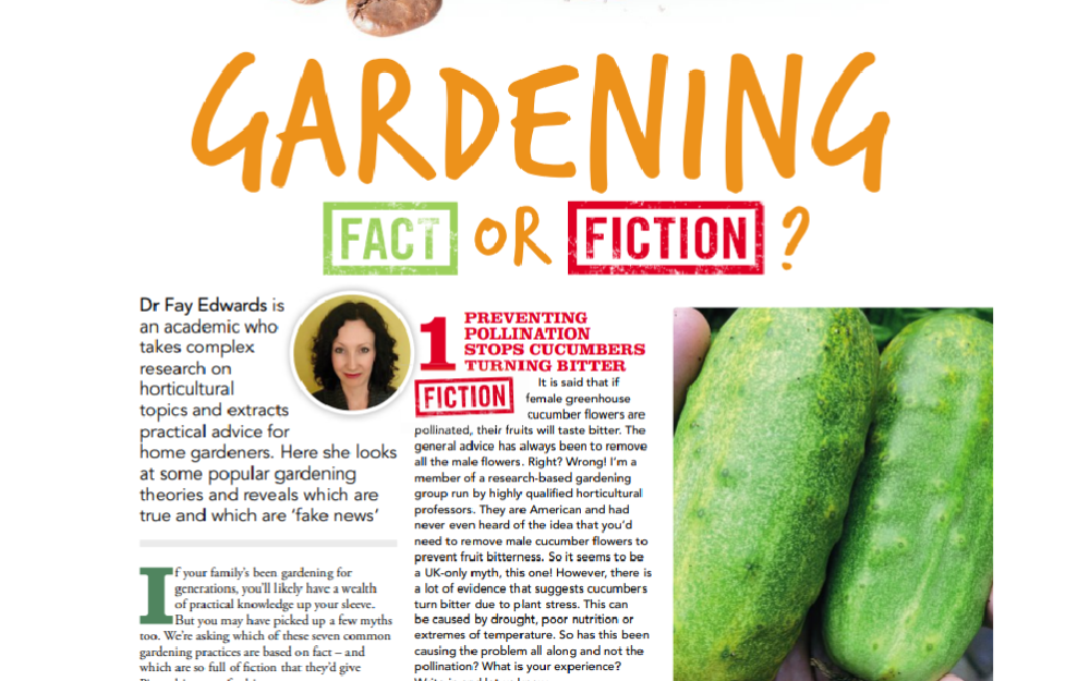 KG article p1