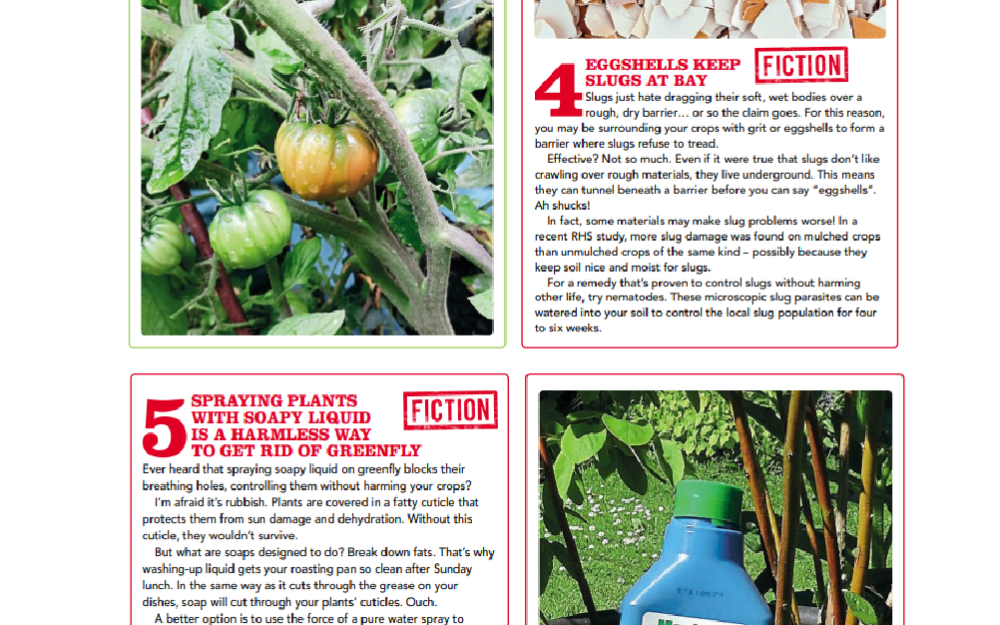 KG article p3
