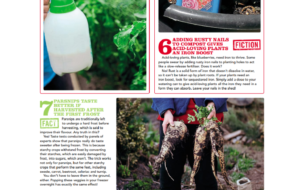KG article p4