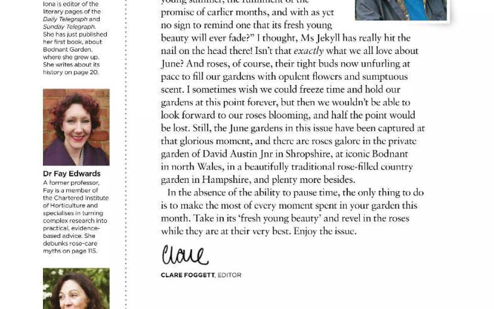 The English Garden Rose Care Mythbuster Author page