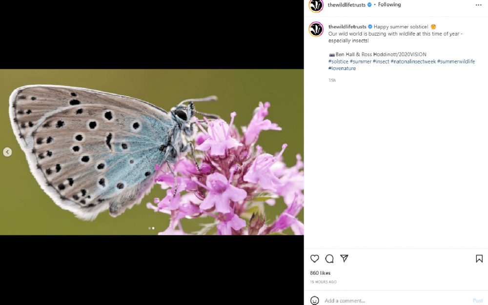 Wildlife Trusts Summer Solstice Instagram Post 1