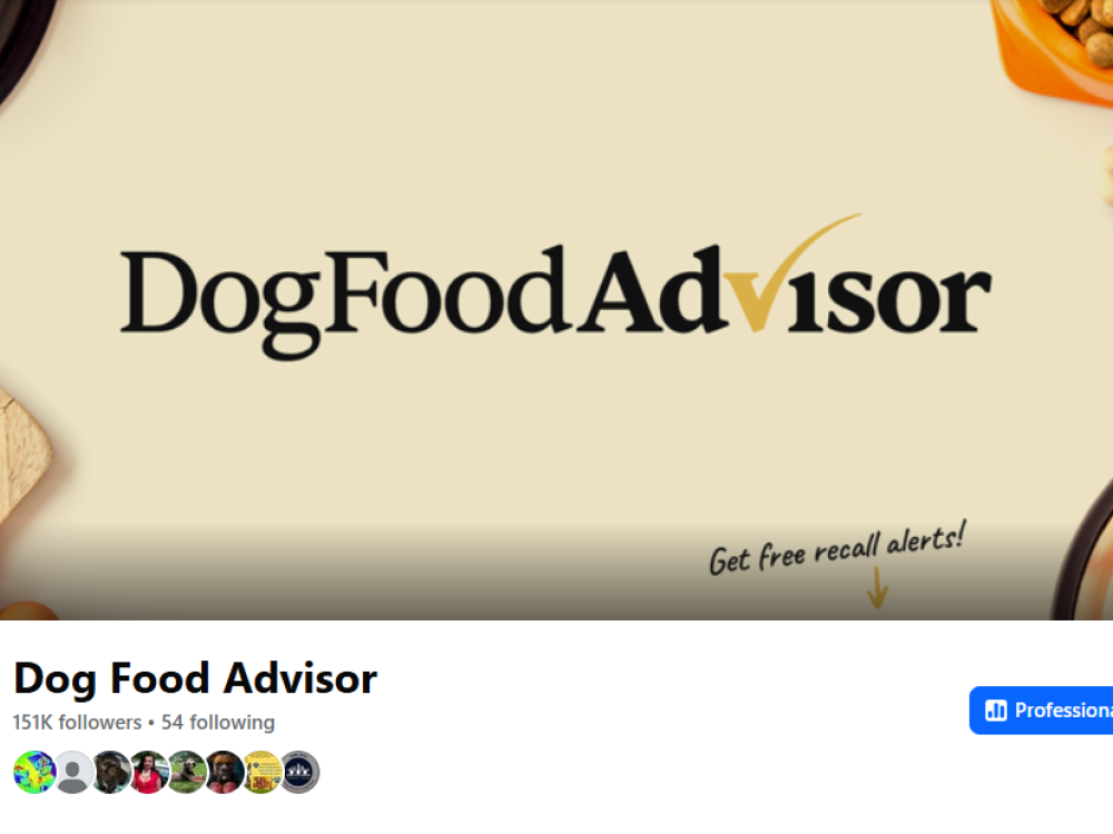 How I Turned Dog Food Advisor into a Social Media Success Story