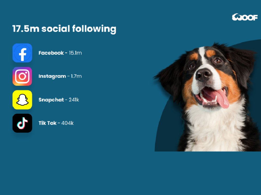 Turning WoofWoofTV's 17.5 million Followers into Profit
