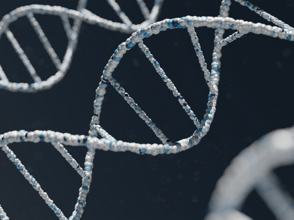 Collaborative Content Series with AlphaDog DNA